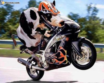 ohhhhhhhhhhhhhh la vache hihihi