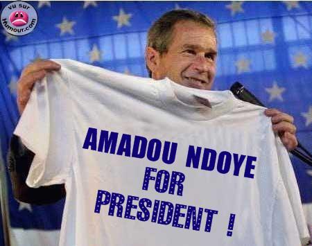 amadou pour presi