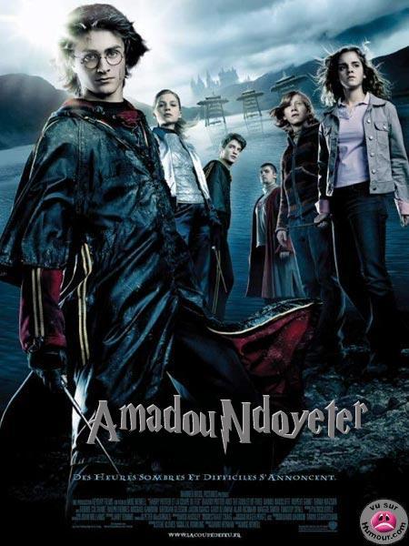  pour les fans d'harry potter
